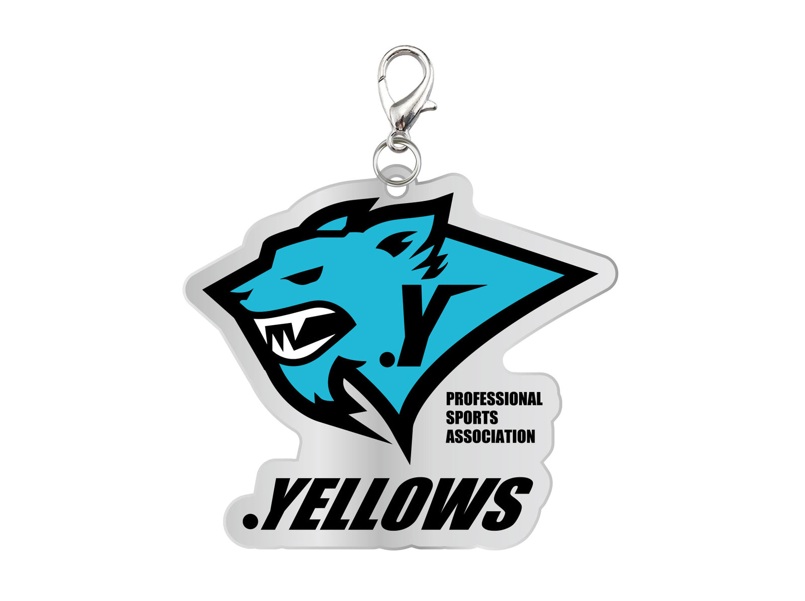 カニカン付きアクリルチャーム